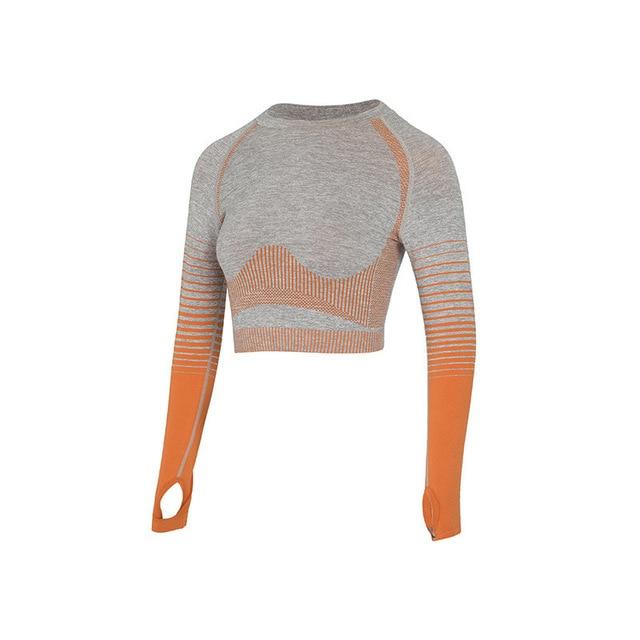 Womens Seamless Yoga Set Long Sleeve