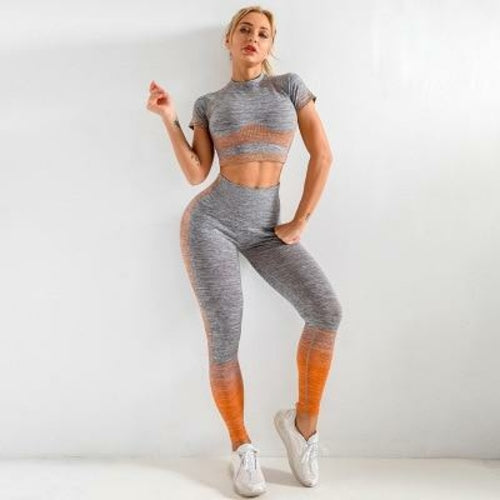 Womens Seamless Yoga Set Long Sleeve